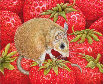 Strawberry-Mouse, 1995 (akryl na panelu) od Ditz