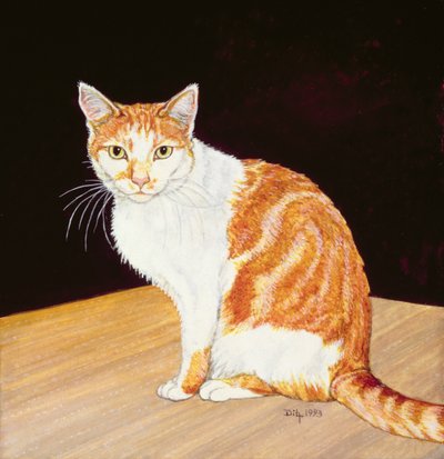 Thomas od Ditz
