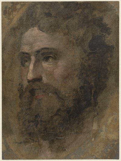 Hlava muže s kudrnatými vlasy, vlevo od Domenico Beccafumi