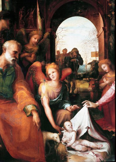 Narození, detail. Obraz Domenica Beccafumiho (1486-1551) od Domenico Beccafumi