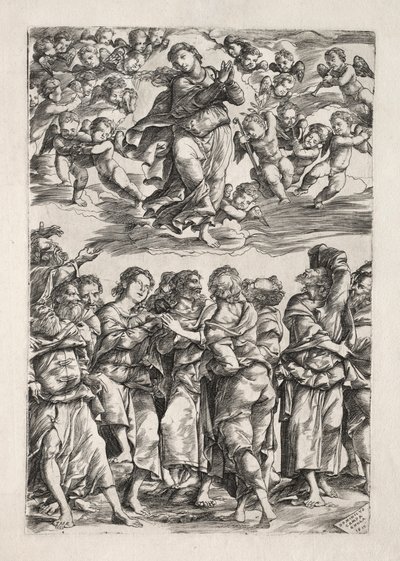 Nanebevzetí Panny Marie, 1517. od Domenico Campagnola