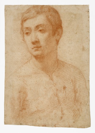 Hlava mládeže, cca 1600-25 (červená křída na položeném papíře) od Domenico Cresti