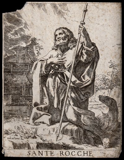  od Domenico Maria Canuti