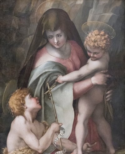 Madonna a dítě s mladým svatým Janem, Domenico Puligo (olej na panelu) od Domenico Puligo