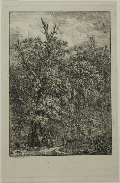 Velký strom od Domenico Quaglio