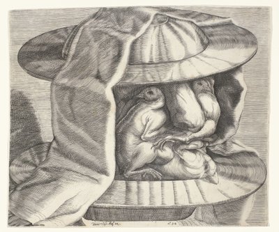 Groteskní hlava s helmou ve stylu Arcimboldo Groteskní hlava s helmou ve stylu Arcimbolda od Dominicus Custos