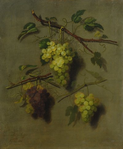 Zátiší, 1738 od Dominicus Van der Smissen