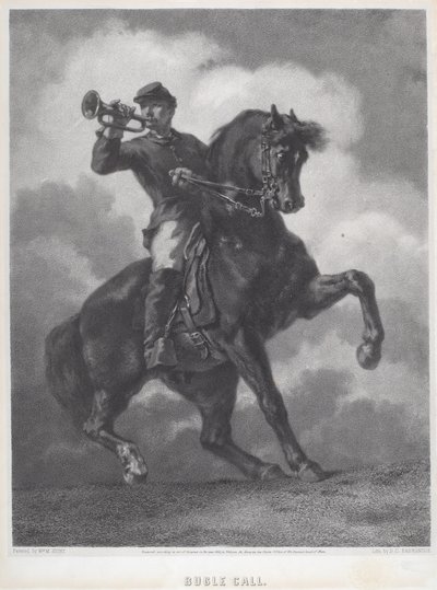 Volání polnice od Dominique C. Fabronius