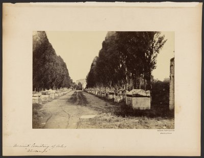 [Starověký hřbitov v Arles, "Alyscamps"] od Dominique Roman