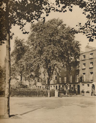 In Boarding-House Land: Platany na Torrington Square, c1935. od Donald McLeish