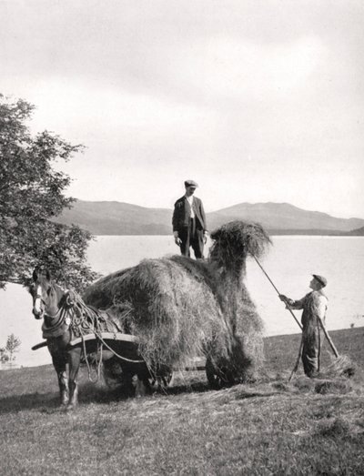 Nakládání sena na vůz na břehu jezera Loch Lomond, Skotsko, 1924-1926. od Donald McLeish