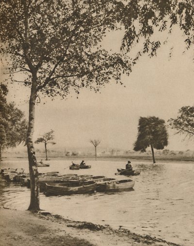 Na Blackheath, Greater Londons Most Historic Common, c1935. od Donald McLeish