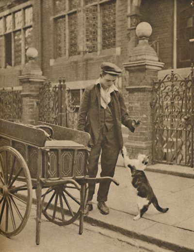Jeden z nejlépe zavedených obchodů: Zákazník a kočičí masožravec, c1935. od Donald McLeish