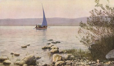 Palestina, 30. léta 20. století od Donald McLeish