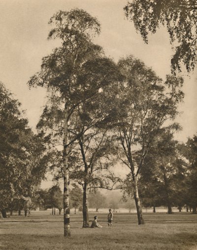 Krajka z listů: Letní ráno v Hyde Parku, c1935. od Donald McLeish
