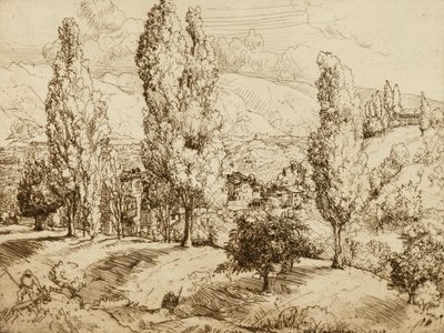 Pole Asolo od Donald Shaw MacLaughlan