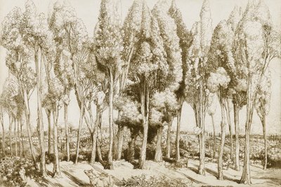 Road Song no. 5 od Donald Shaw MacLaughlan
