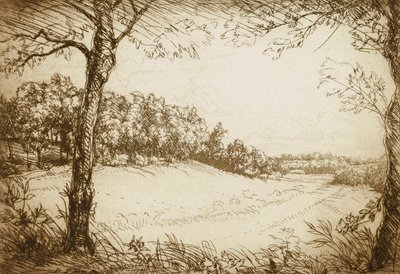 Letní ráno v Tennessee od Donald Shaw MacLaughlan