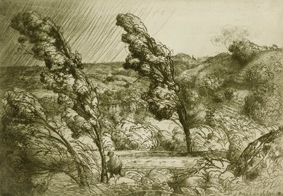 Bouře od Donald Shaw MacLaughlan