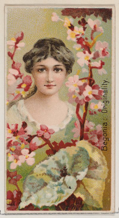 Begonia: Originalita, ze série Květinové krásy a jazyk květin N75 pro Du..., 1892. od Donaldson Brothers