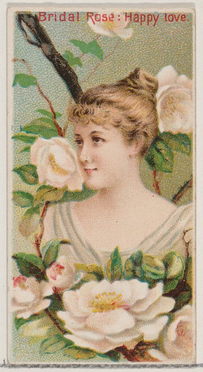 Svatební růže: Šťastná láska, ze série Květinové krásy a řeč květin N75 pro..., 1892. od Donaldson Brothers