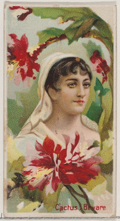 Kaktus: Pozor, ze série Květinové krásy a řeč květin N75 pro Duke bra..., 1892. od Donaldson Brothers