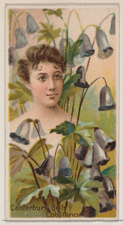 Canterbury Bells: Constancy, ze série Květinové krásy a jazyk květin N75..., 1892. od Donaldson Brothers