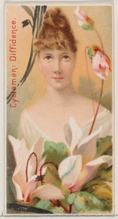 Cyclamen: Diffidence, ze série Květinové krásy a jazyk květin N75 pro Du..., 1892. od Donaldson Brothers