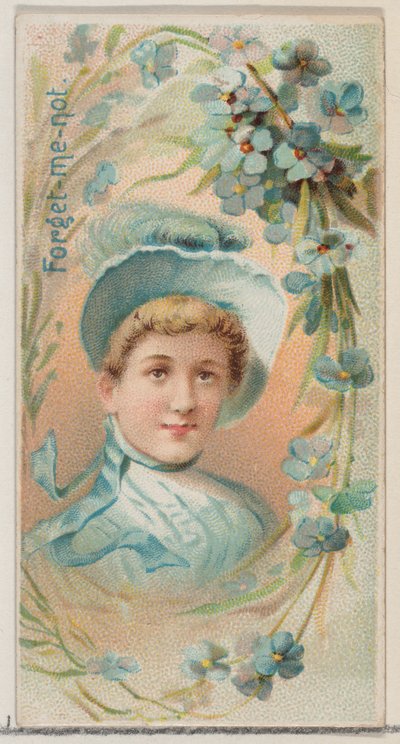Forget-Me-Not, ze série Květinové krásy a řeč květin N75 pro Duke bran..., 1892. od Donaldson Brothers