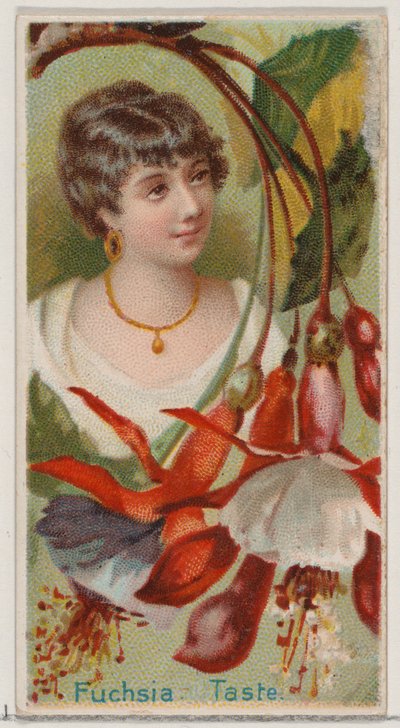 Fuchsia: Taste, ze série Květinové krásy a řeč květin N75 pro Duke bra..., 1892. od Donaldson Brothers