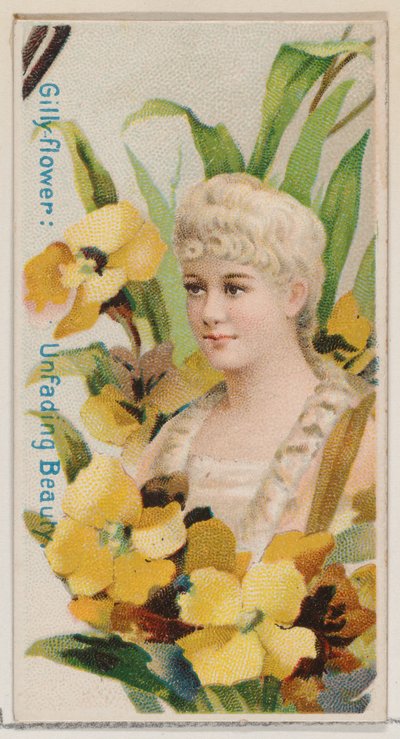 Gilly-flower: Unfading Beauty, ze série Květinové krásy a jazyk květin N7..., 1892. od Donaldson Brothers