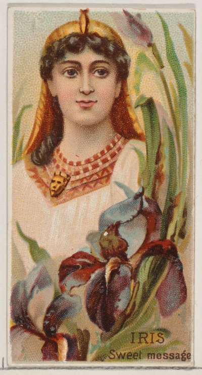 Iris: Sweet Message, ze série Květinové krásy a řeč květin N75 pro Duk..., 1892. od Donaldson Brothers