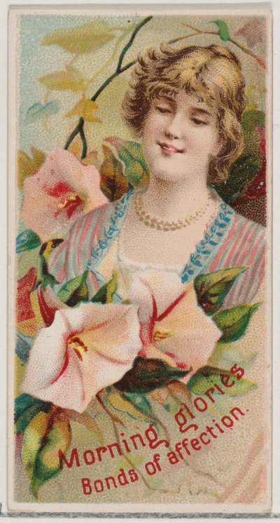 Morning Glories: Bonds of Affection, ze série Floral Beauties and Language of Flowe..., 1892. od Donaldson Brothers