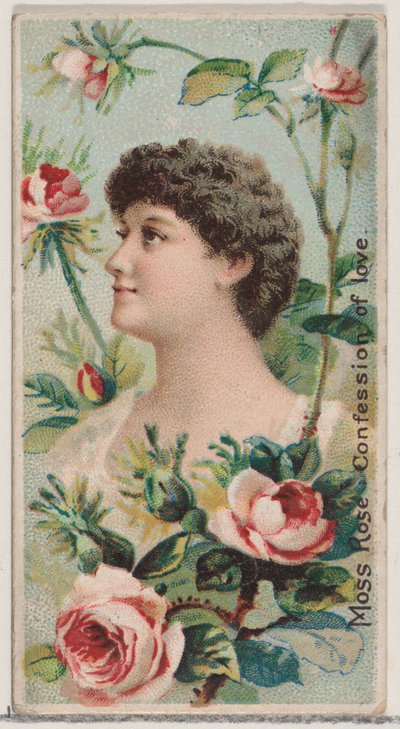 Moss Rose: Vyznání lásky, ze série Květinové krásy a řeč květin N7..., 1892. od Donaldson Brothers