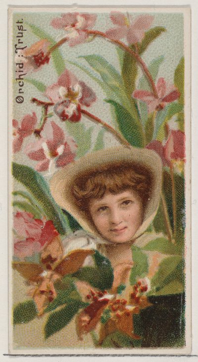 Orchid: Důvěra, ze série Květinové krásy a řeč květin N75 pro Duke bran..., 1892. od Donaldson Brothers