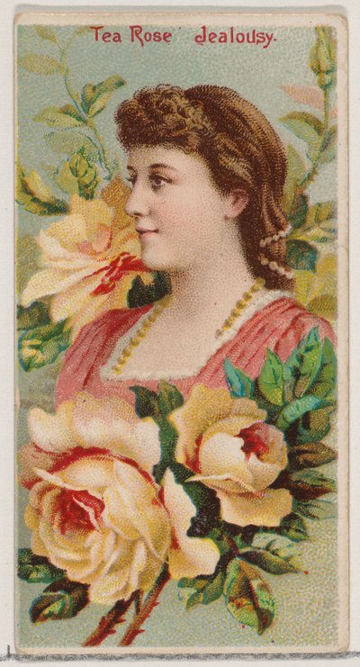 Čajová růže: Žárlivost, ze série Květinové krásy a řeč květin N75 pro vévodu..., 1892. od Donaldson Brothers