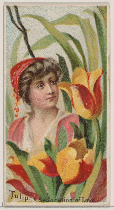 Tulip: A Declaration of Love, ze série Květinové krásy a jazyk květin N75..., 1892. od Donaldson Brothers