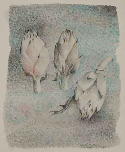 Artyčoky od Donatella Merlo