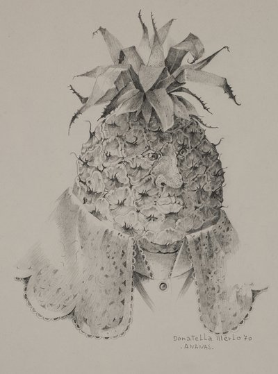 Ananas od Donatella Merlo