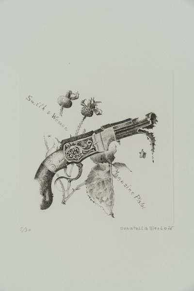 Pistole Smith and Wesson se zásobníkem od Donatella Merlo