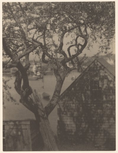 Přístavní scéna, pravděpodobně Gloucester, Massachusetts od Doris Ulmann