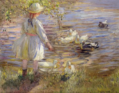  od Dorothea Sharp