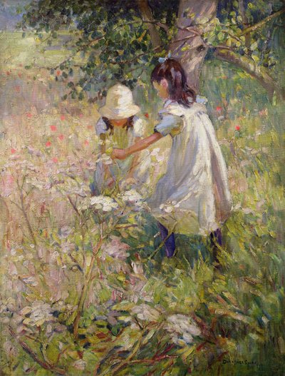  od Dorothea Sharp