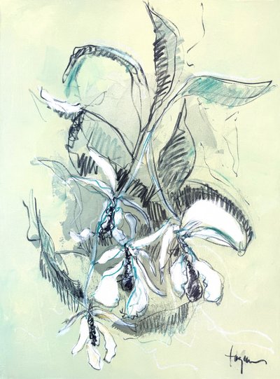 Jemná skica orchideje od Dorothy Fagan