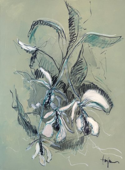Elegantní skica orchideje od Dorothy Fagan