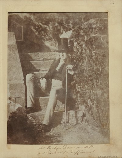 Pan Evelyn Denison od Dr. John Adamson