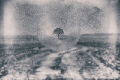 Cesta k osamělému stromu od Dragan Drobac
