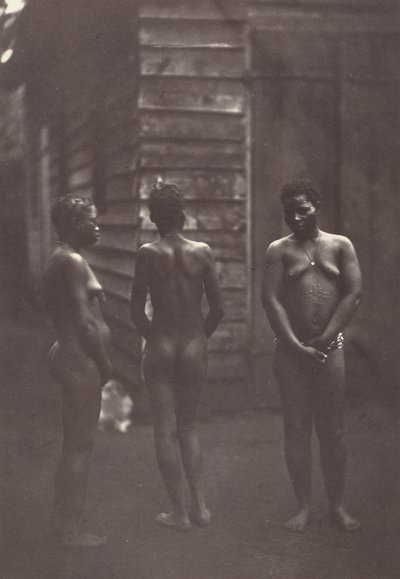 Tři madagaskarské ženy (deska 30),1863 (foto) od Désiré Charnay
