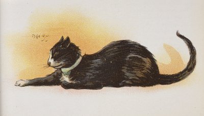 Kočka. od Dudley Hardy