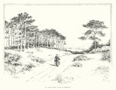 Na silnici u Hindheadu (litografie) od Duncan Moul
